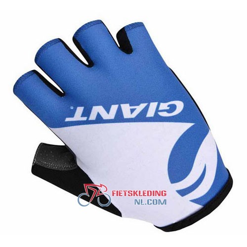 Handschoenen 2014 Blauw En Wit